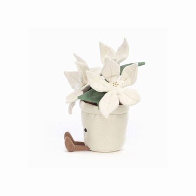 Jellycat Gold Poinsettia USA | 89307YAHX